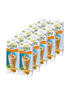 Bebida de arroz con avellanas Bio 10x1L Vitariz